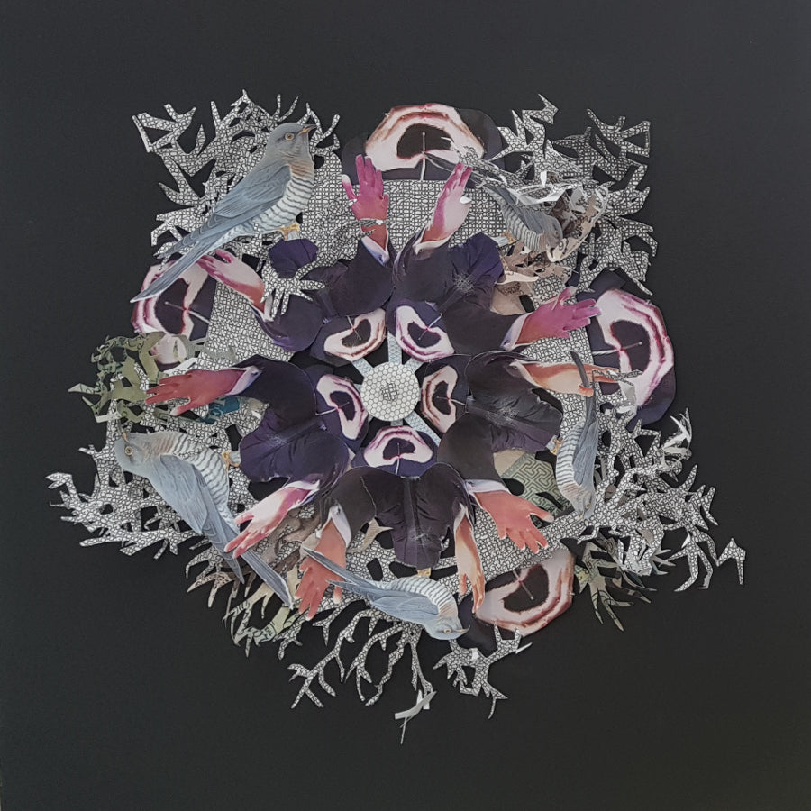 Memory of water & the political language of hands