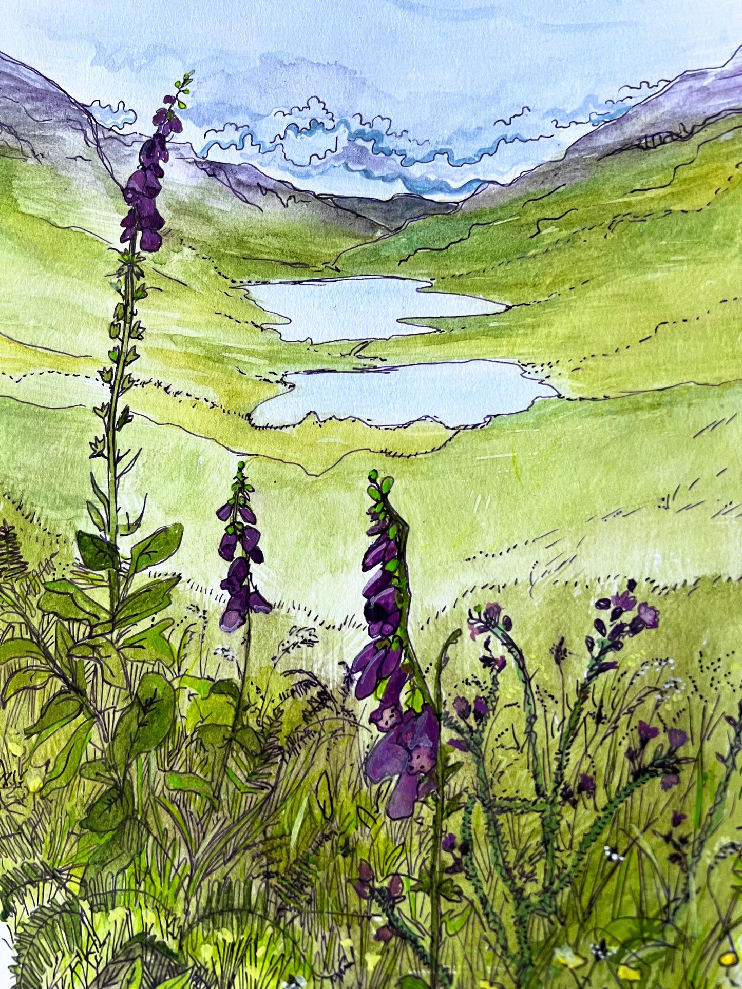 ’The three lochs’ - Isle of Mull original field study