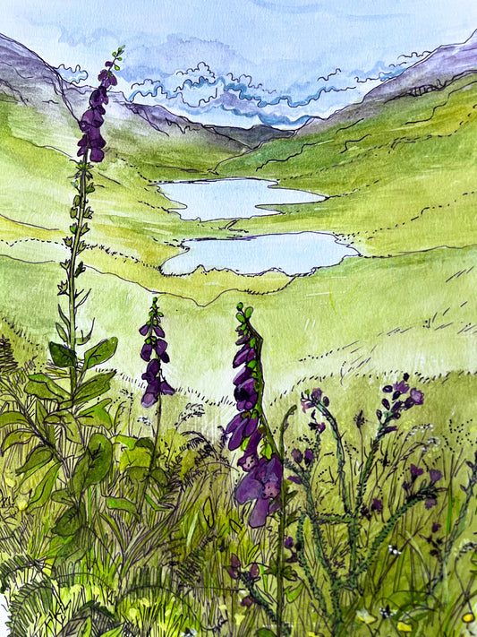 ’The three lochs’ - Isle of Mull original field study