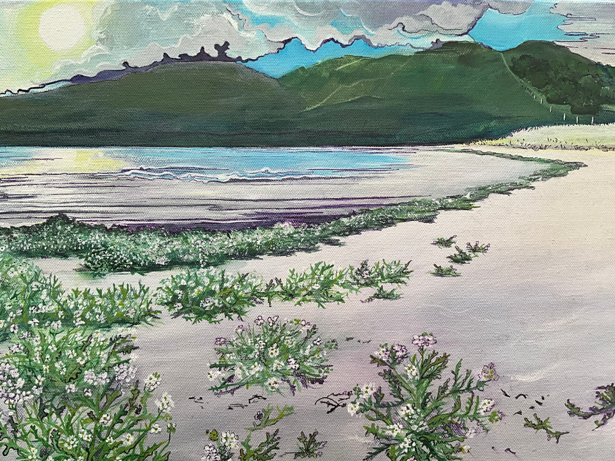 ‘Calgary beach searocket’ - Isle of Mull original landscape painting