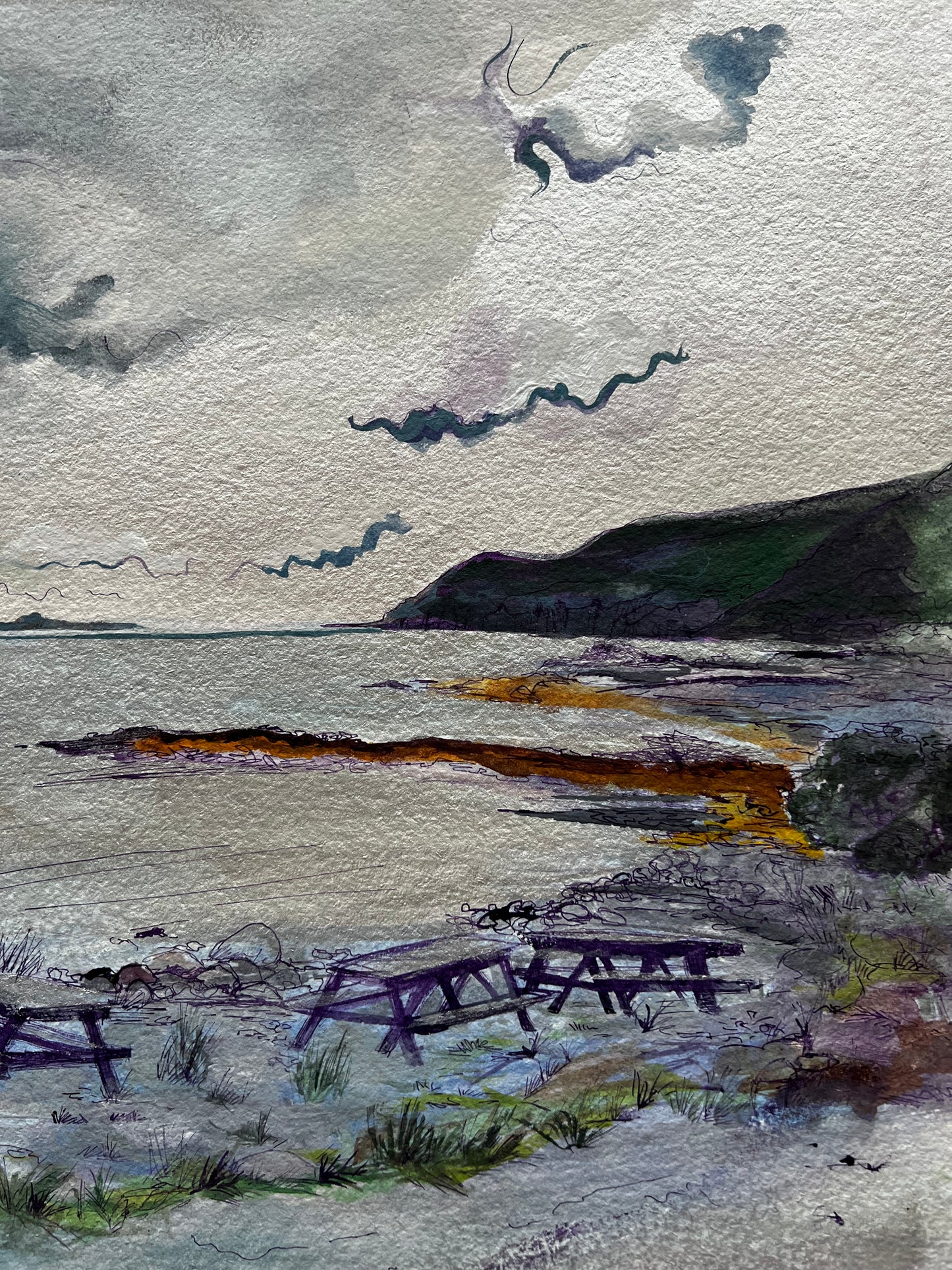 ‘Lochbuie horizon’ - Isle of Mull original silver field study