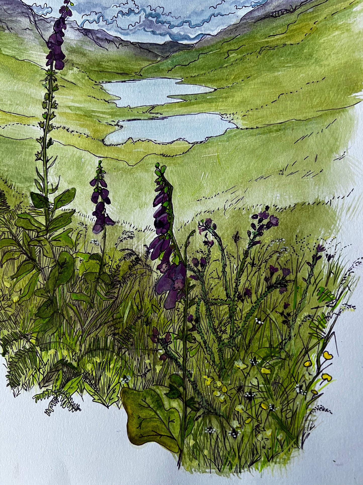 ’The three lochs’ - Isle of Mull original field study