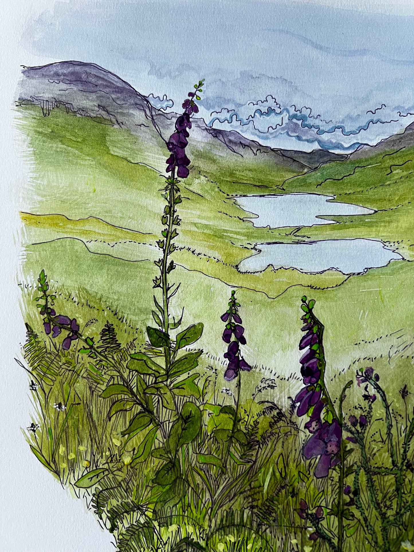 ’The three lochs’ - Isle of Mull original field study