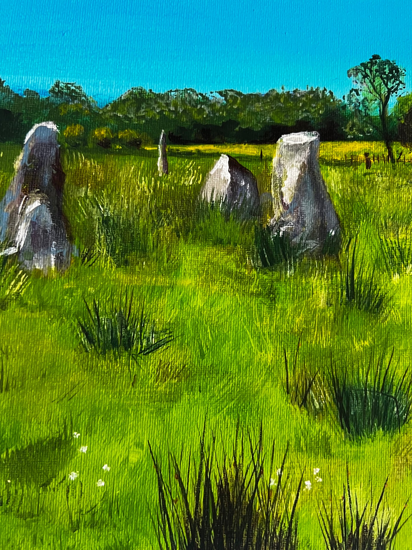 ‘Lochbuie stone circle in summer’ - Isle of Mull Giclée Art Print