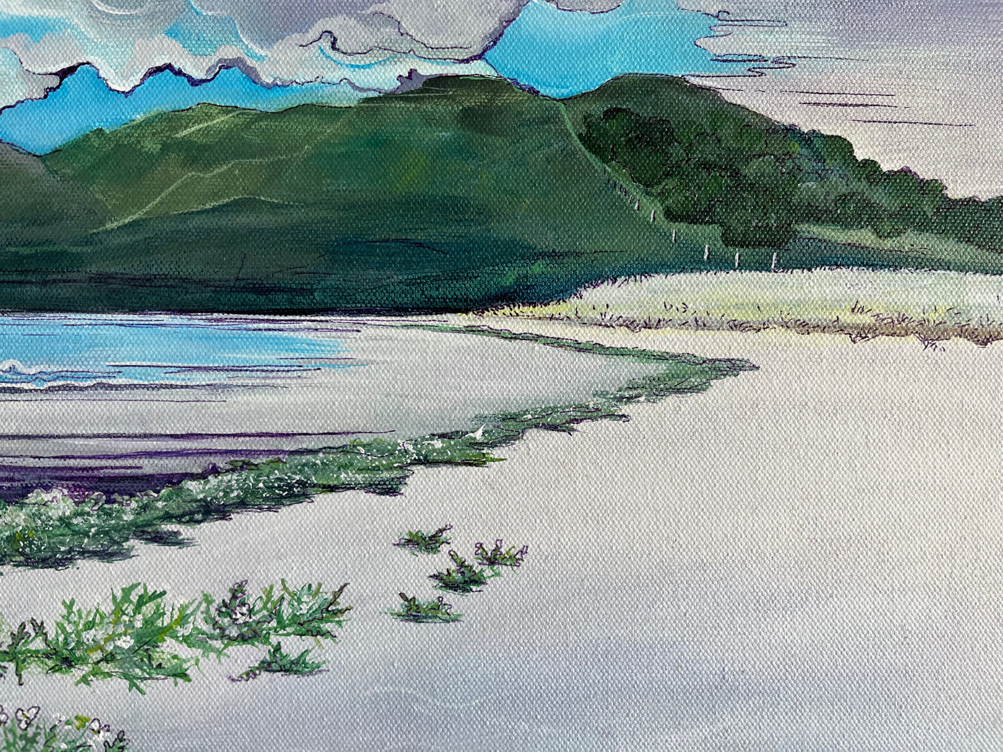 ‘Calgary beach searocket’ - Isle of Mull original landscape painting