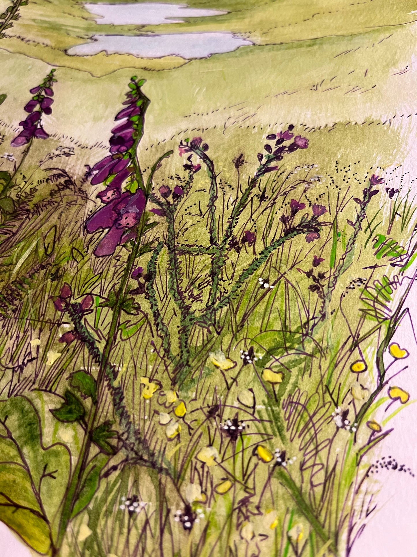 ’The three lochs’ - Isle of Mull original field study