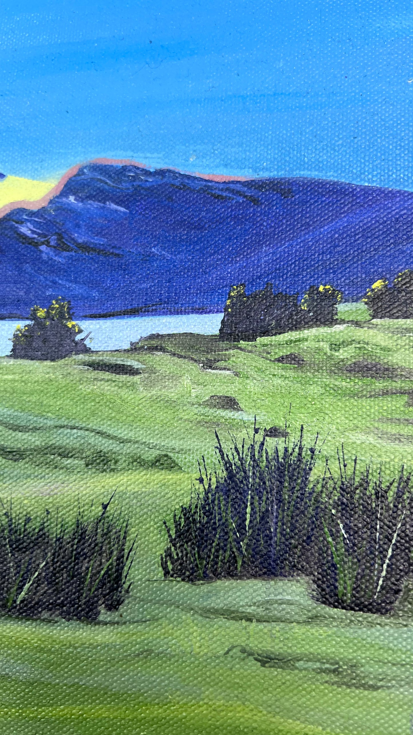 ‘View from Laggan lodge’ - Isle of Mull original oil painting