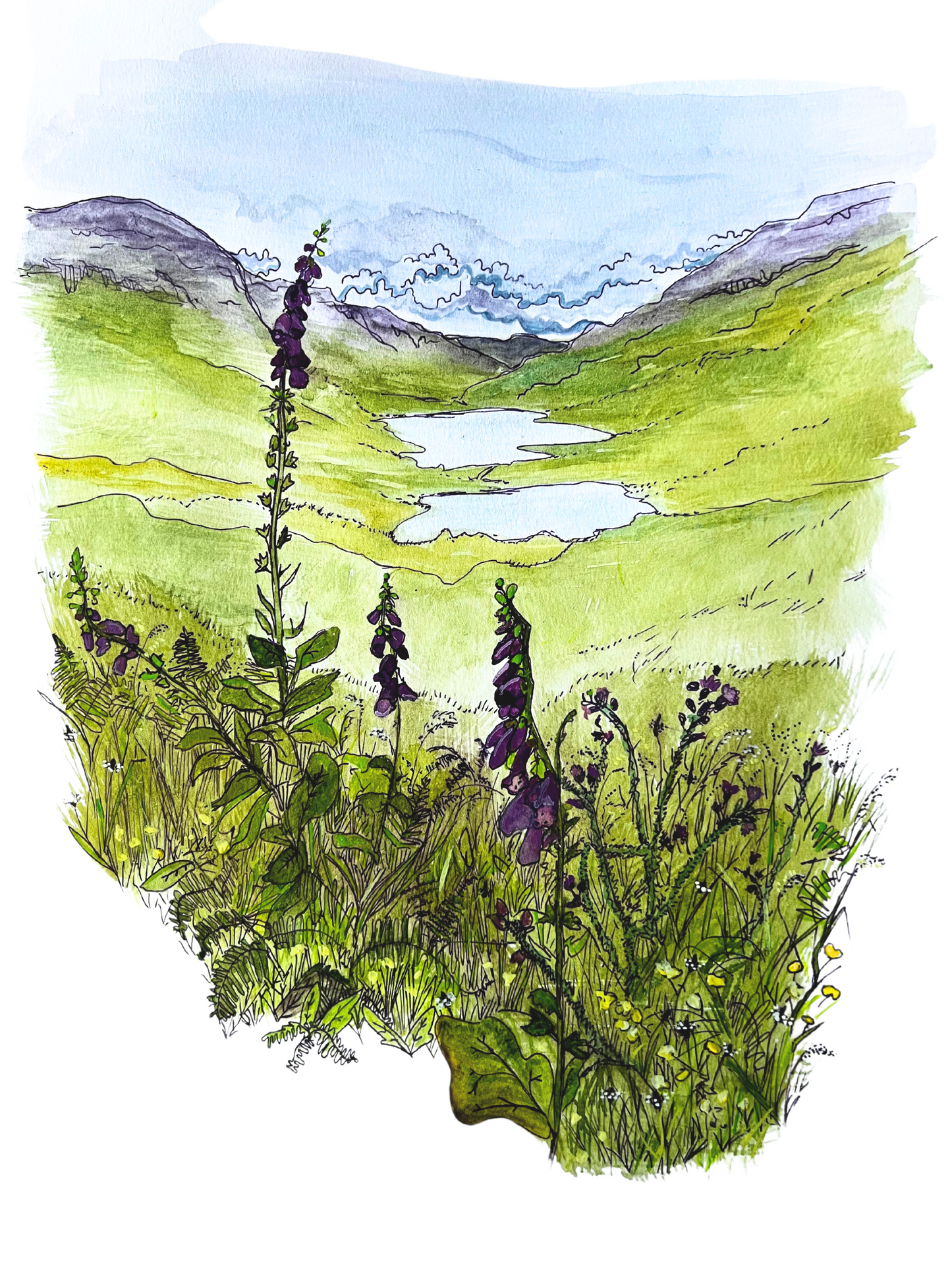 ’The three lochs’ - Isle of Mull original field study