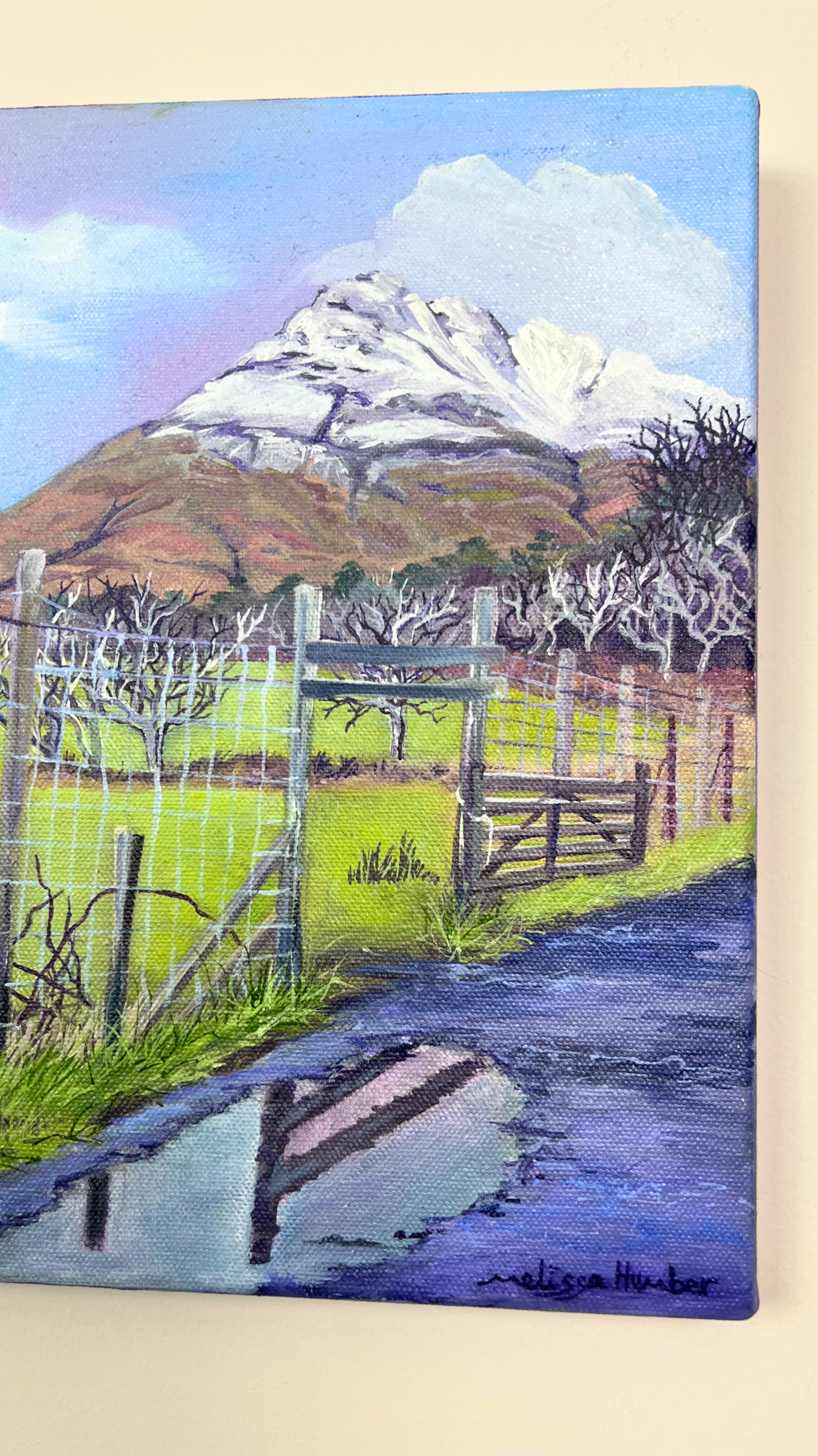 ‘View from Kathleen cottage’ - Isle of Mull original oil painting