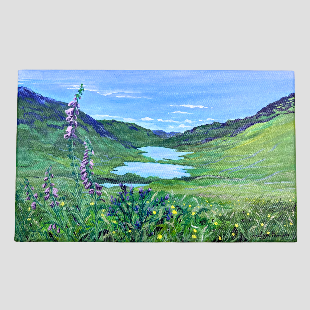 3 loch viewpoint in summer on the Isle of Mull by Melissa Humber