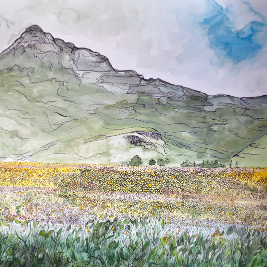 Benbuie meadow Lochbuie Isle of Mull art print by Melissa Humber