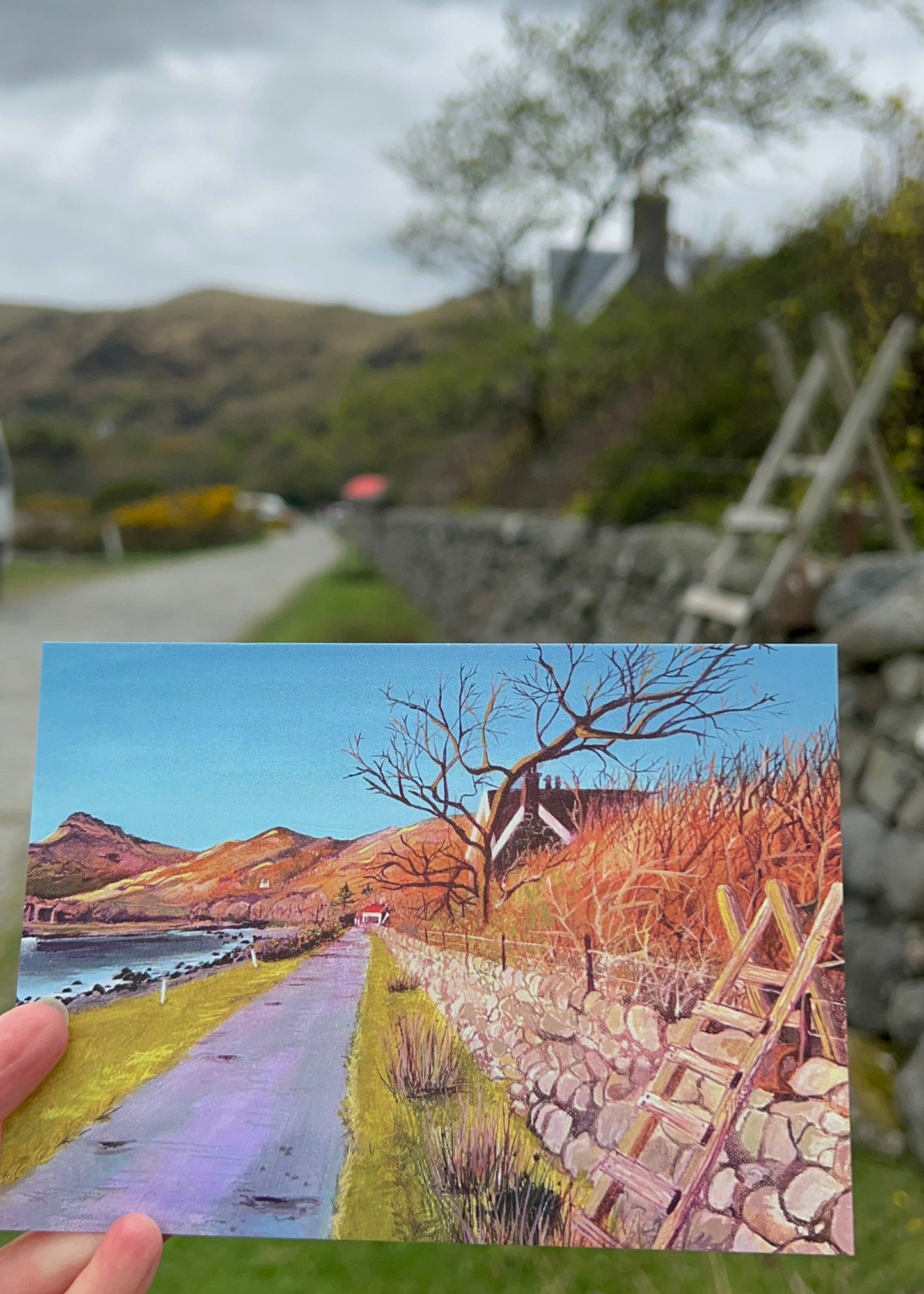 ‘Four seasons in Lochbuie’ Set of 4 Art Postcards