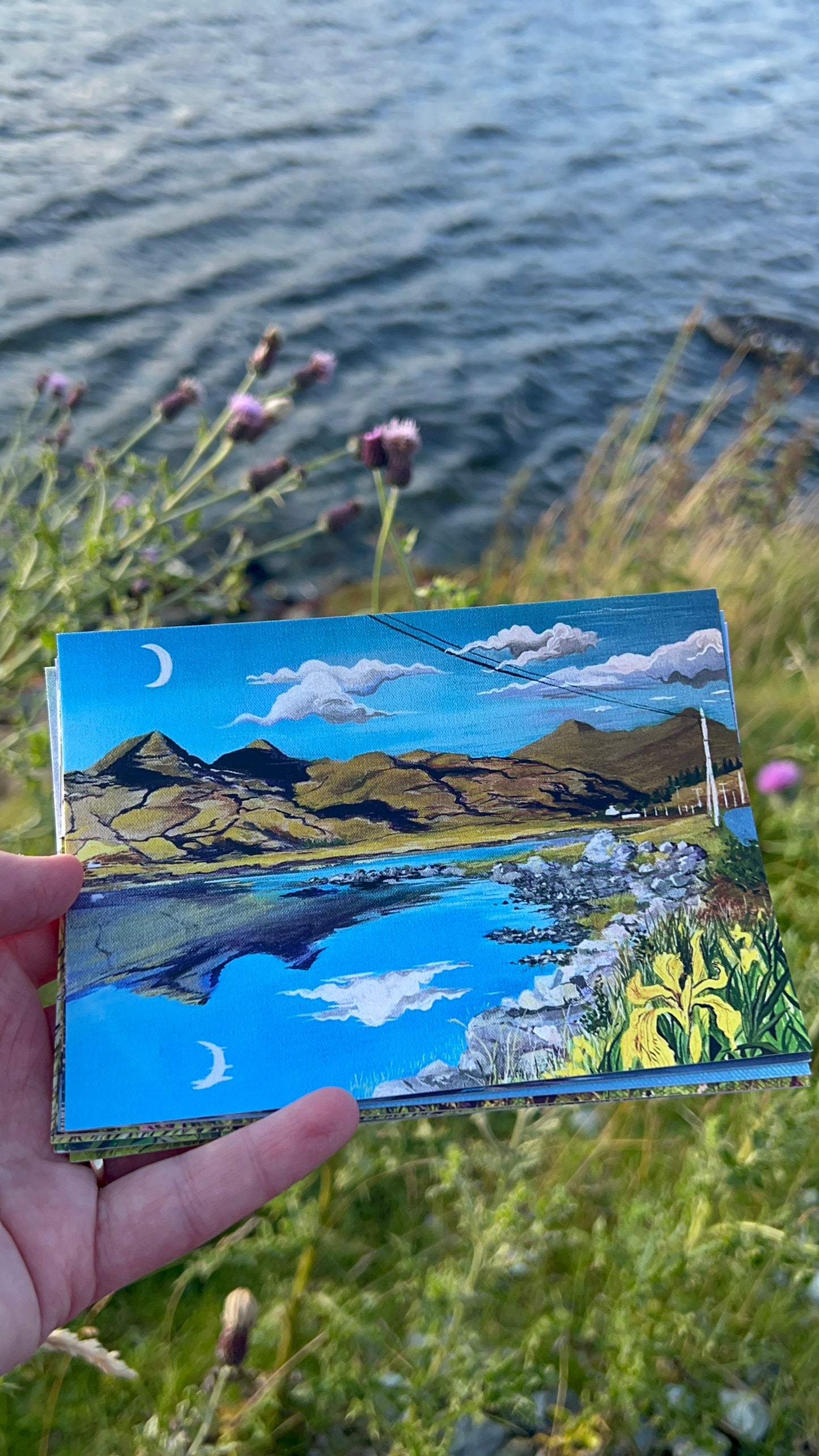 HALF PRICE || A6 Postcards: Tobermory, Lochbuie, Iona, Calgary & Ben More and more!