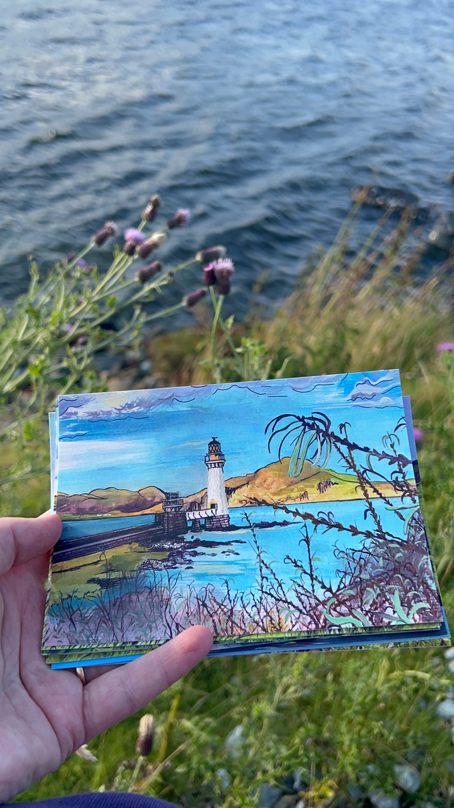 HALF PRICE || A6 Postcards: Tobermory, Lochbuie, Iona, Calgary & Ben More and more!