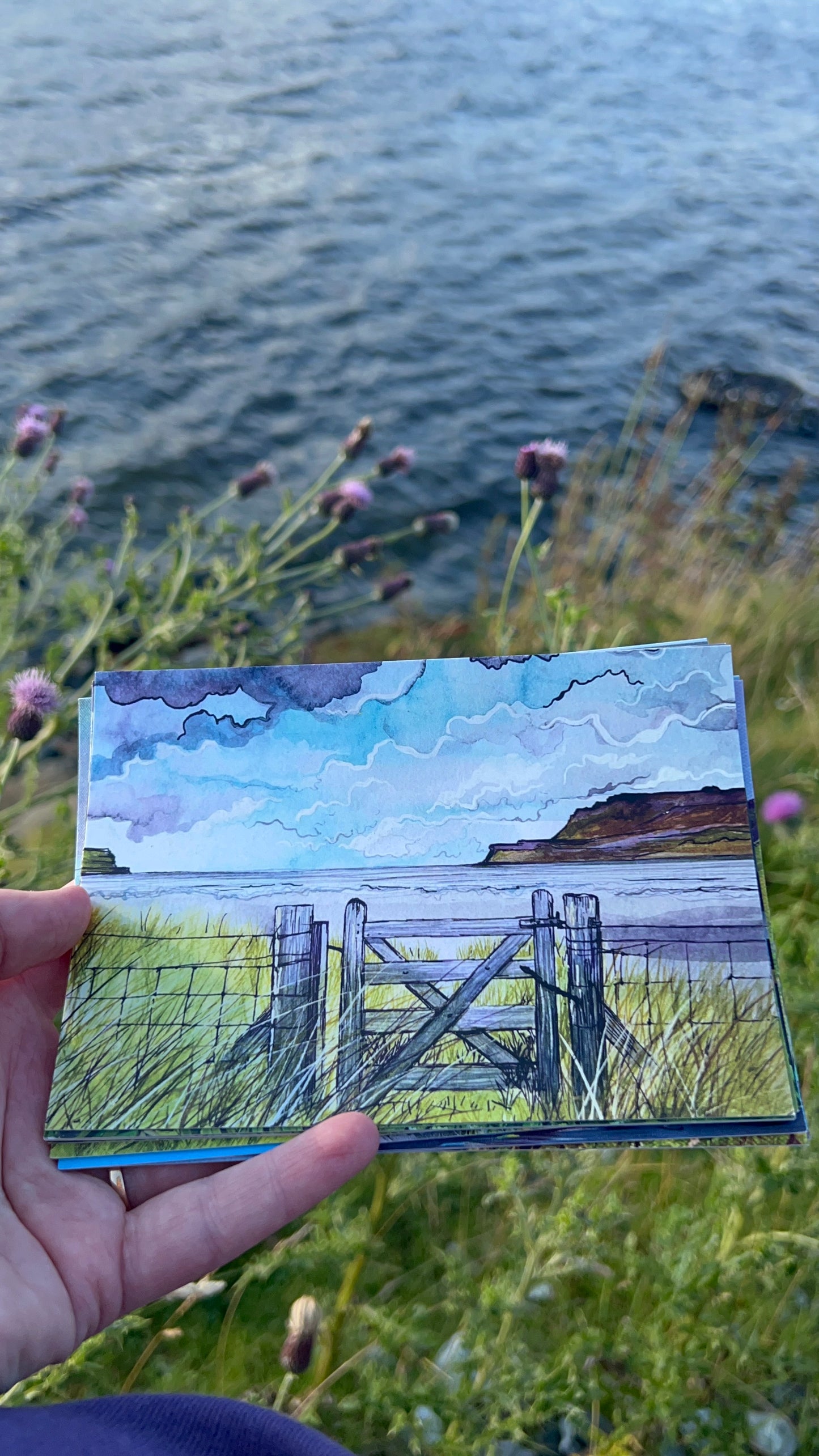 HALF PRICE || A6 Postcards: Tobermory, Lochbuie, Iona, Calgary & Ben More and more!