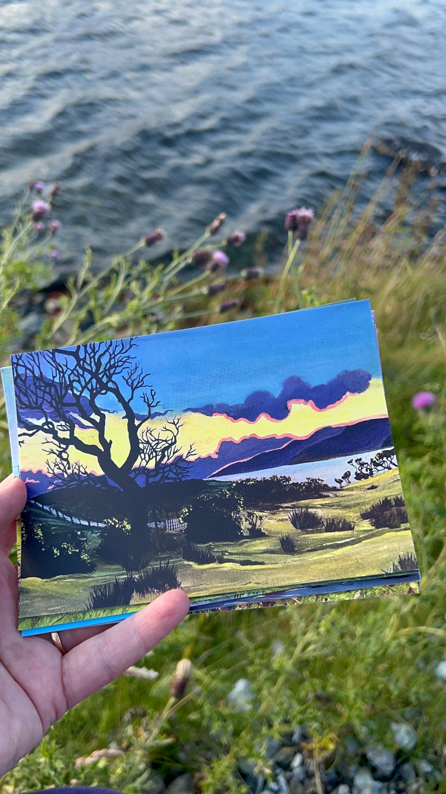 HALF PRICE || A6 Postcards: Tobermory, Lochbuie, Iona, Calgary & Ben More and more!