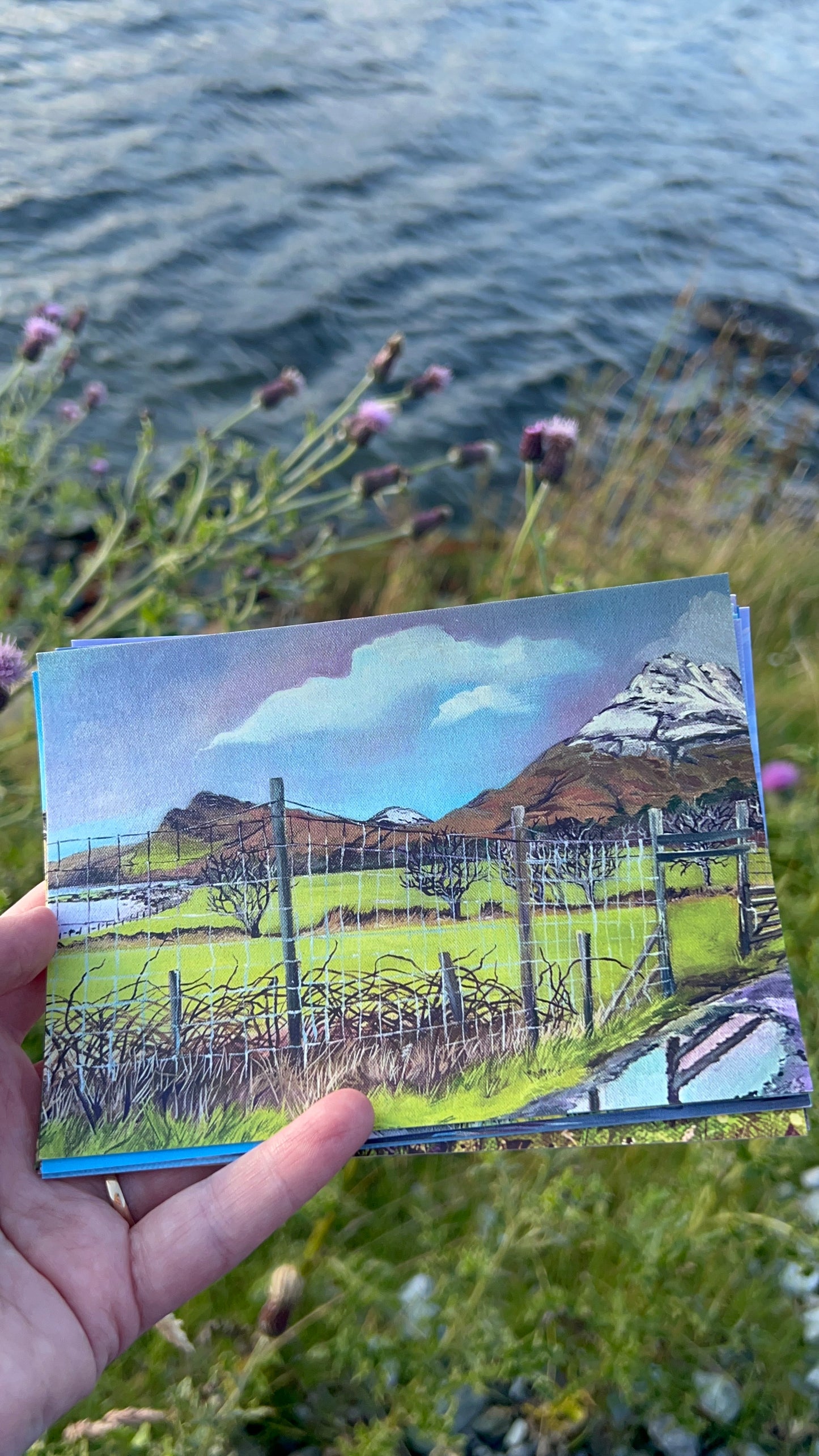 HALF PRICE || A6 Postcards: Tobermory, Lochbuie, Iona, Calgary & Ben More and more!