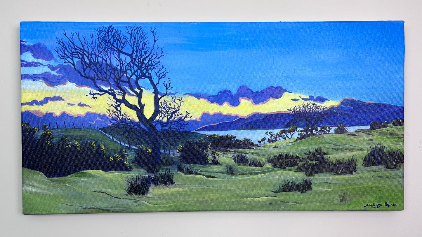 ‘View from Laggan lodge’ - Isle of Mull original oil painting