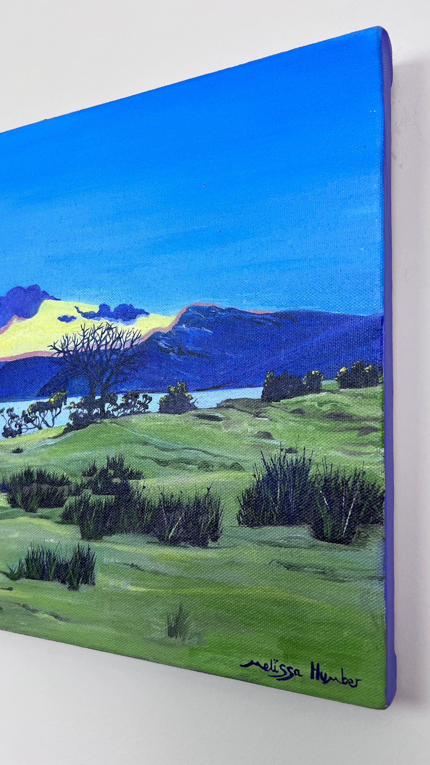 ‘View from Laggan lodge’ - Isle of Mull original oil painting