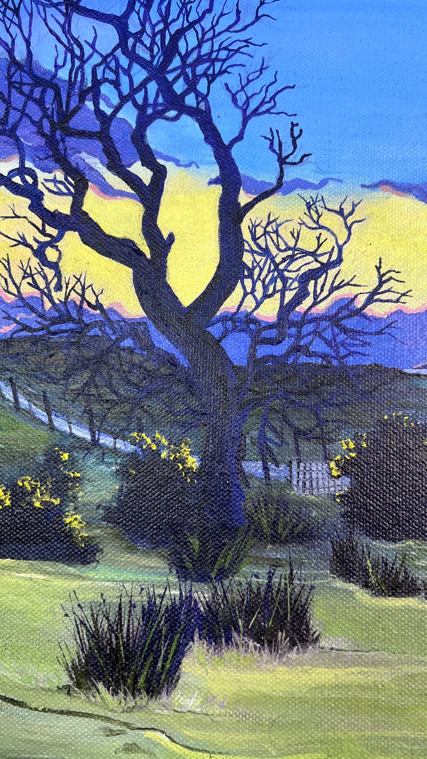 ‘View from Laggan lodge’ - Isle of Mull original oil painting