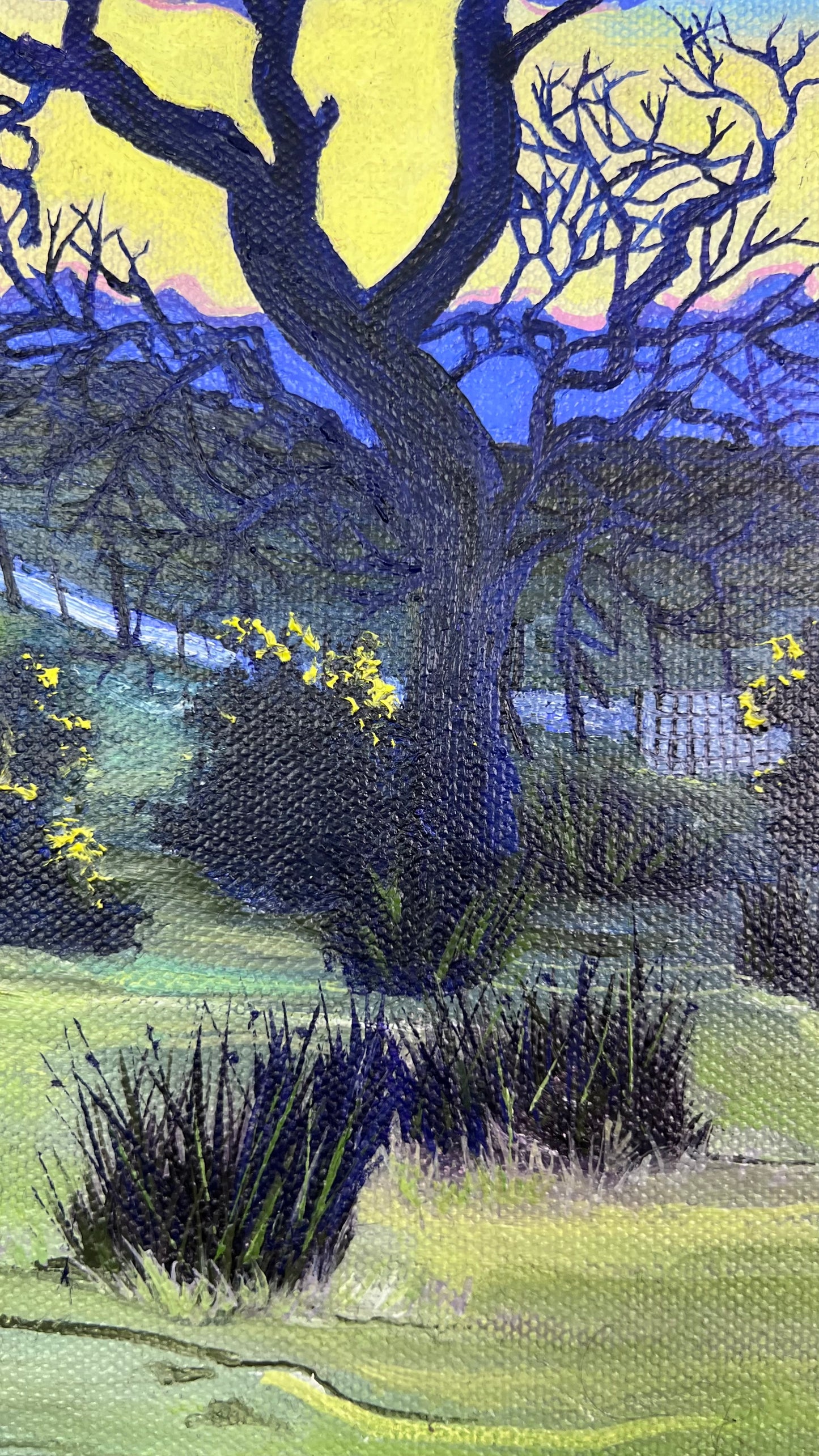 ‘View from Laggan lodge’ - Isle of Mull original oil painting