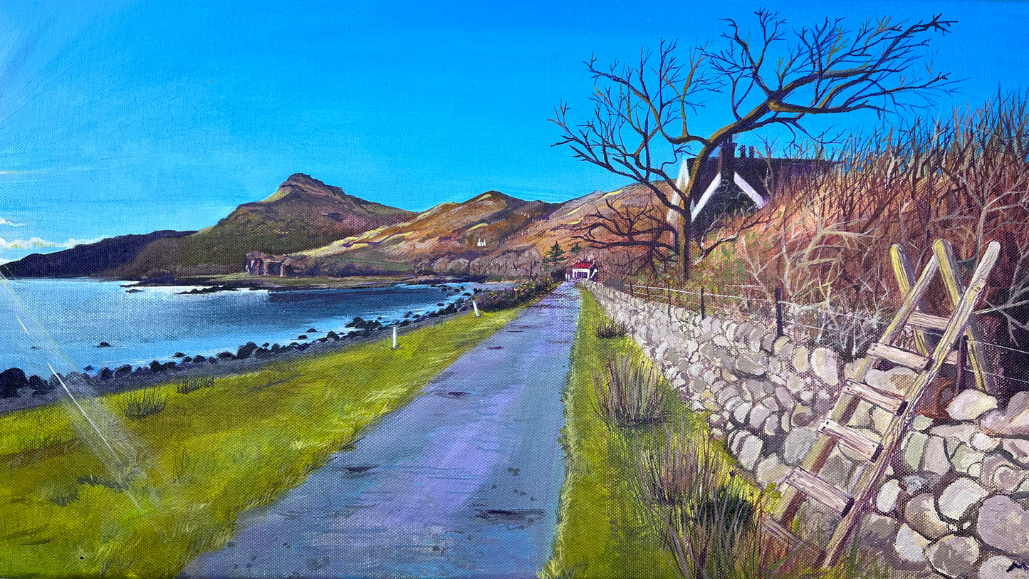 ‘Lochbuie sunset’ - Isle of Mull original landscape painting