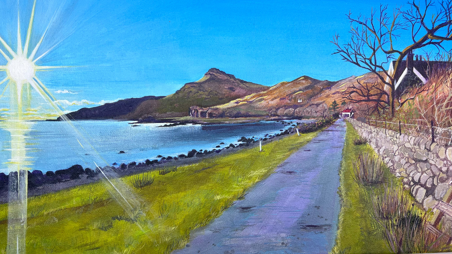 ‘Lochbuie sunset’ - Isle of Mull original landscape painting