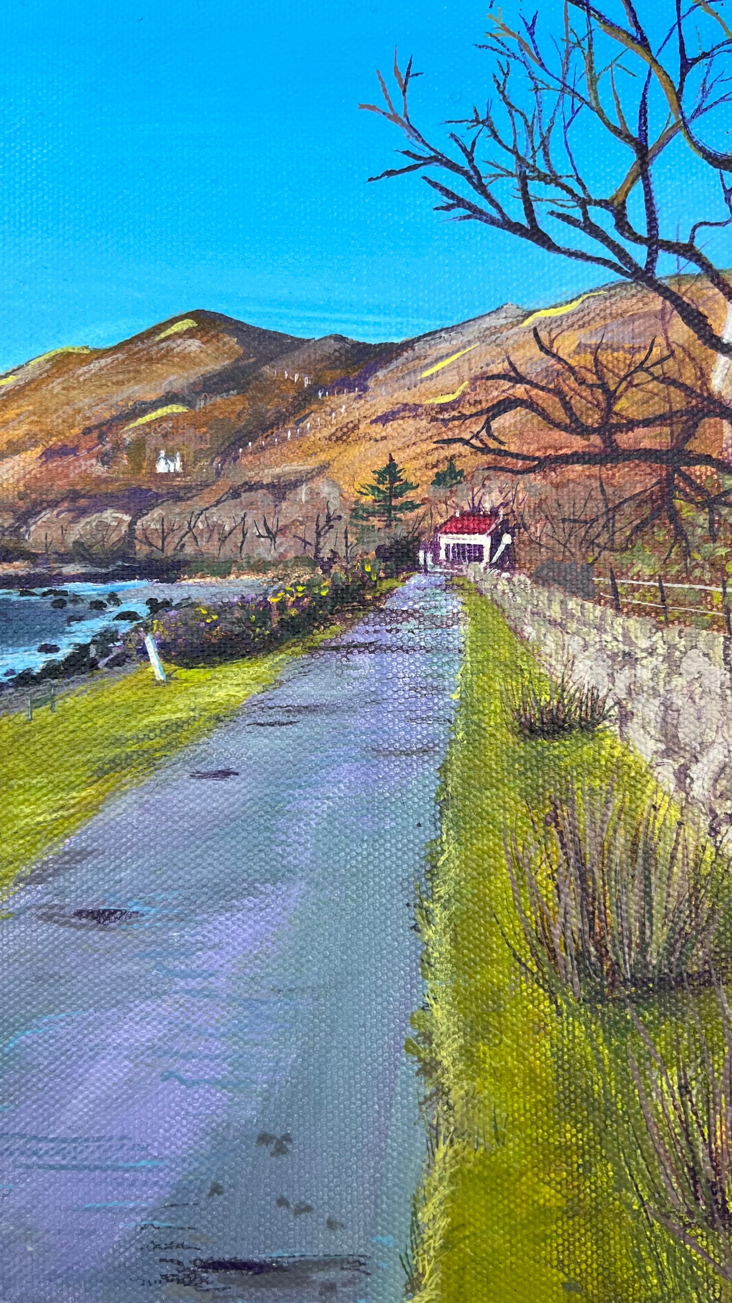 ‘Lochbuie sunset’ - Isle of Mull original landscape painting