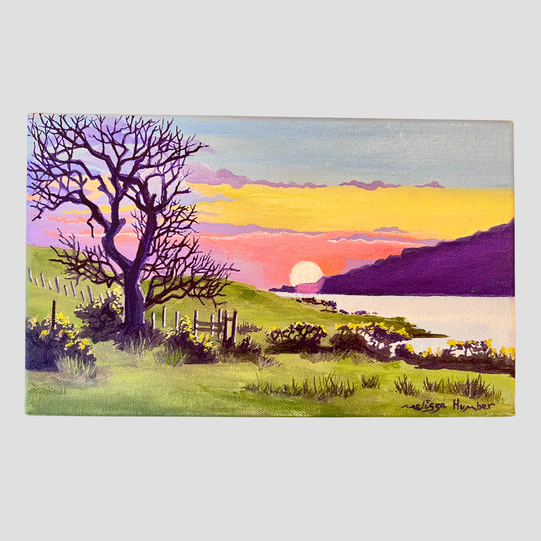 Laggan farm sunset in Lochbuie Isle of Mull Winter 2024 by Melissa Humber