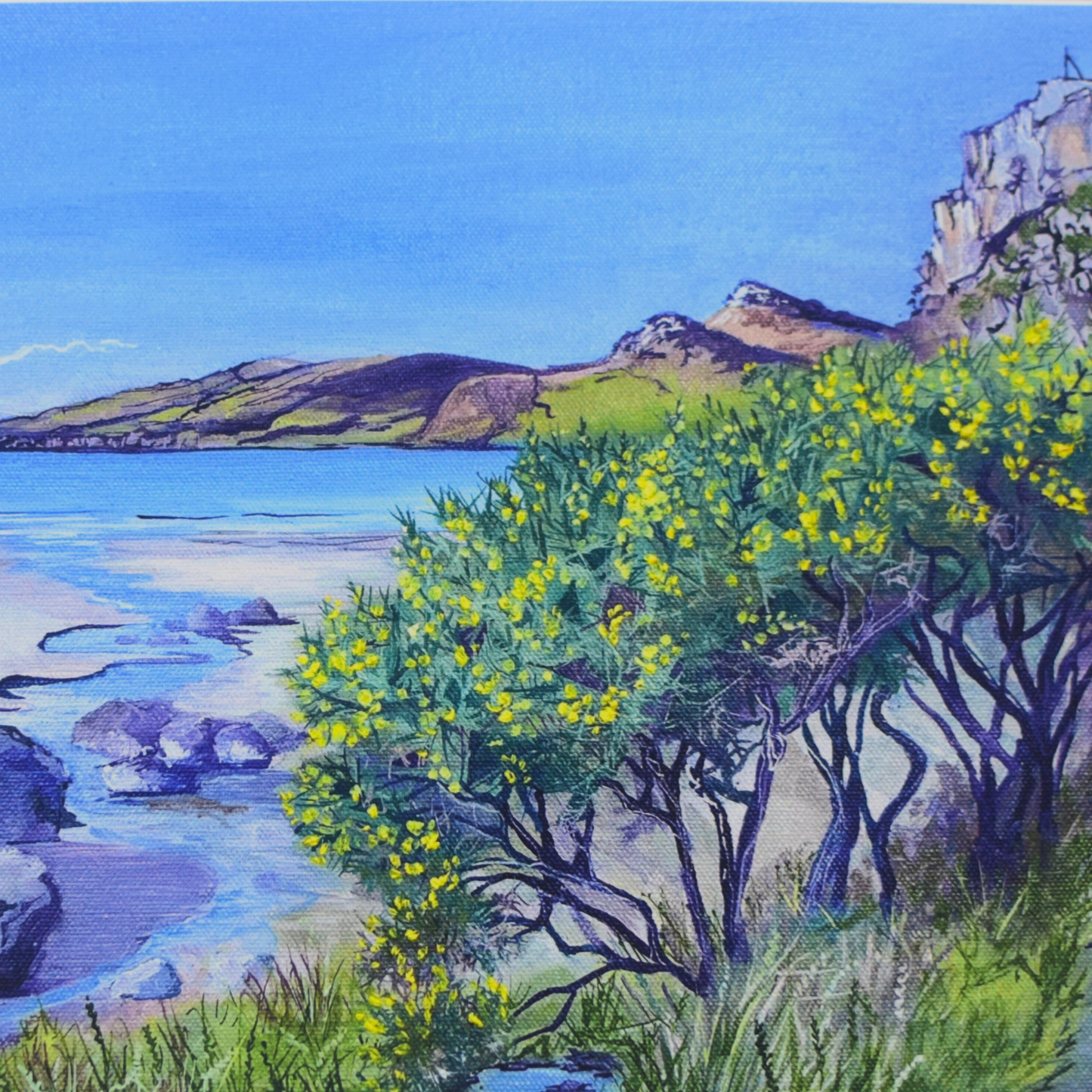 ‘Laggan sands in spring' Lochbuie - Isle of Mull art print