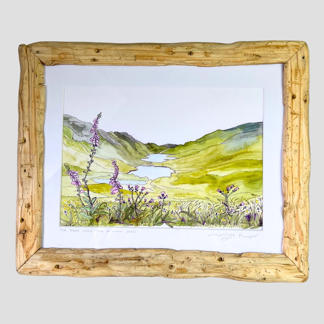 A framed watercolor landscape painting of the three loch view point on the Isle of Mull foxgloves and wildflowers by local artist Melissa Humber