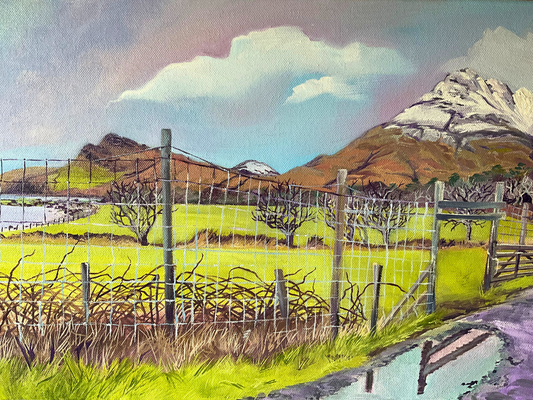 ‘View from Kathleen cottage’ - Isle of Mull original oil painting