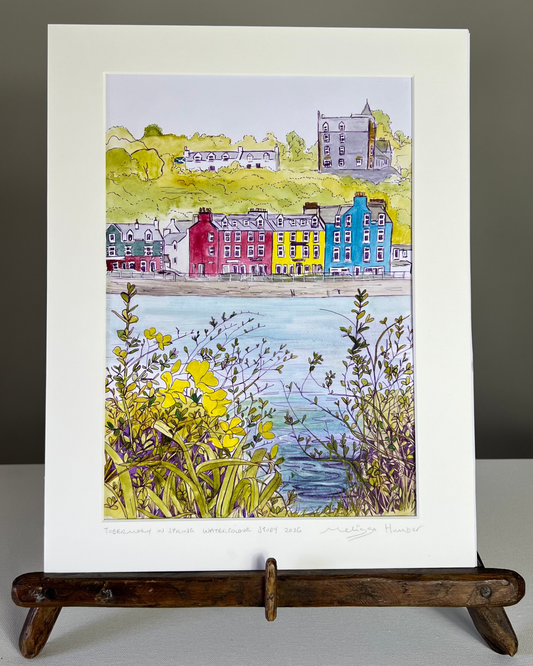 Original watercolour painting of Tobermory on the isle of Mull in spring by local artist Melissa Humber