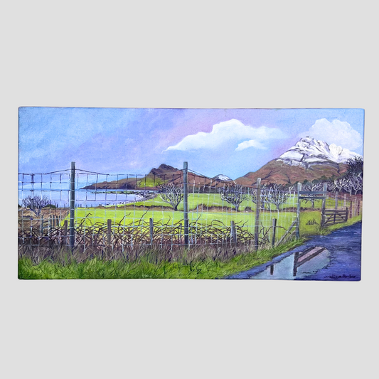 View from Kathleen cottage in Lochbuie on the Isle of Mull landscape painting by M Humber